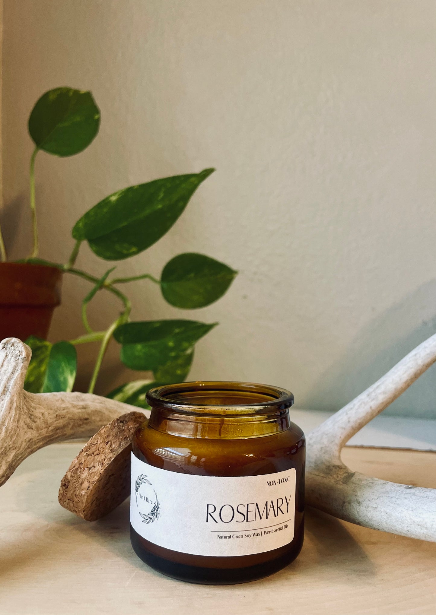 ROSEMARY: The Herb Collection