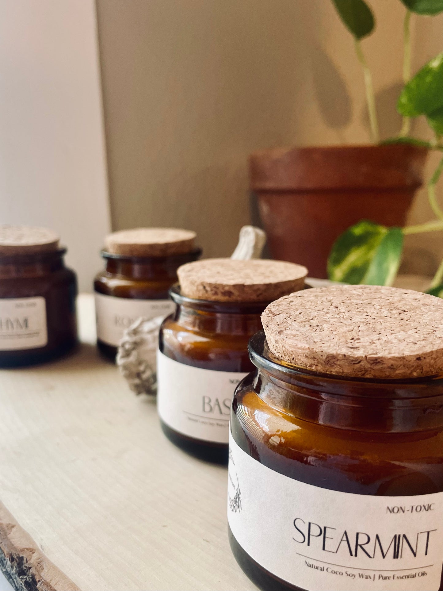 ROSEMARY: The Herb Collection