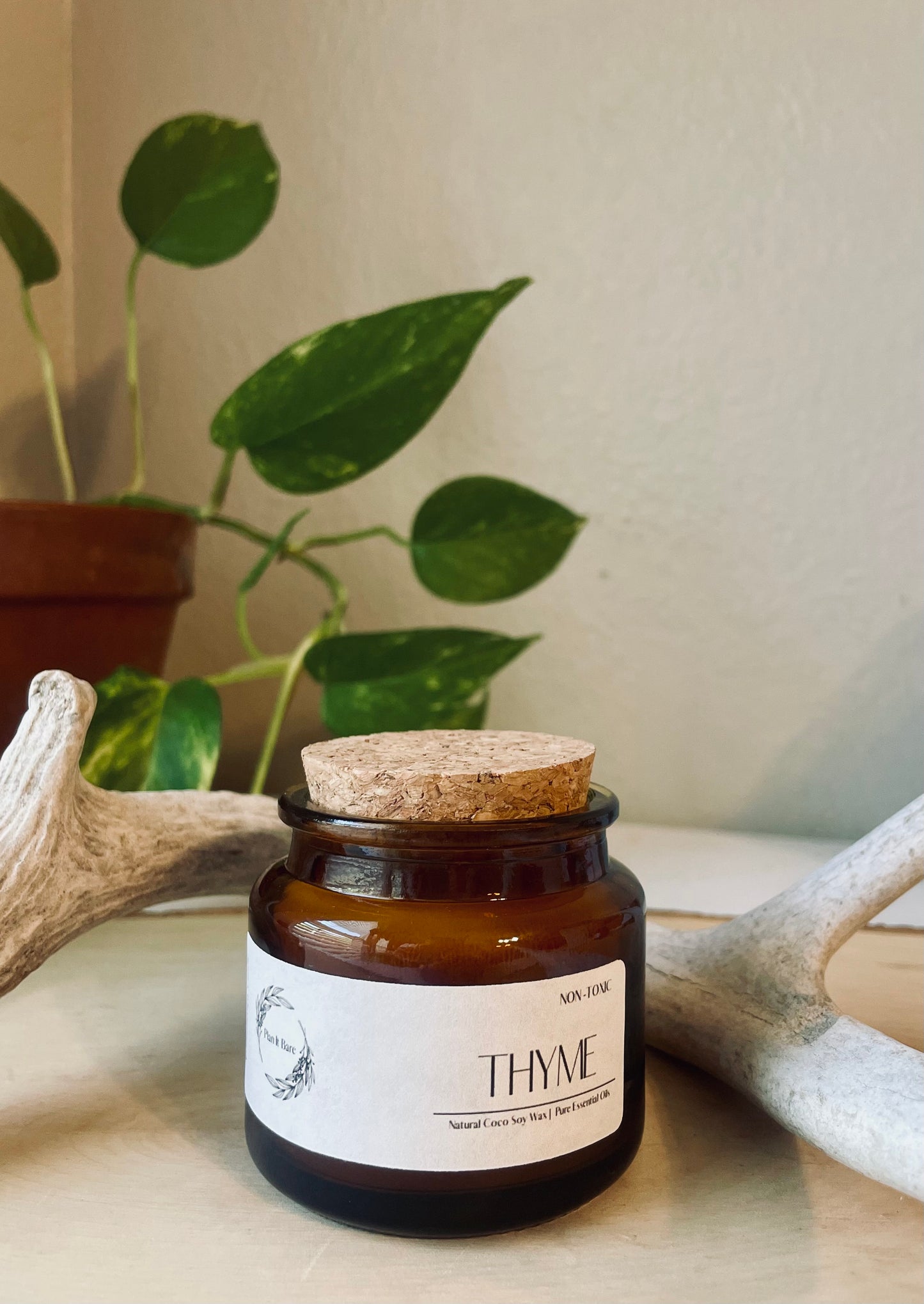 THYME: The Herb Collection