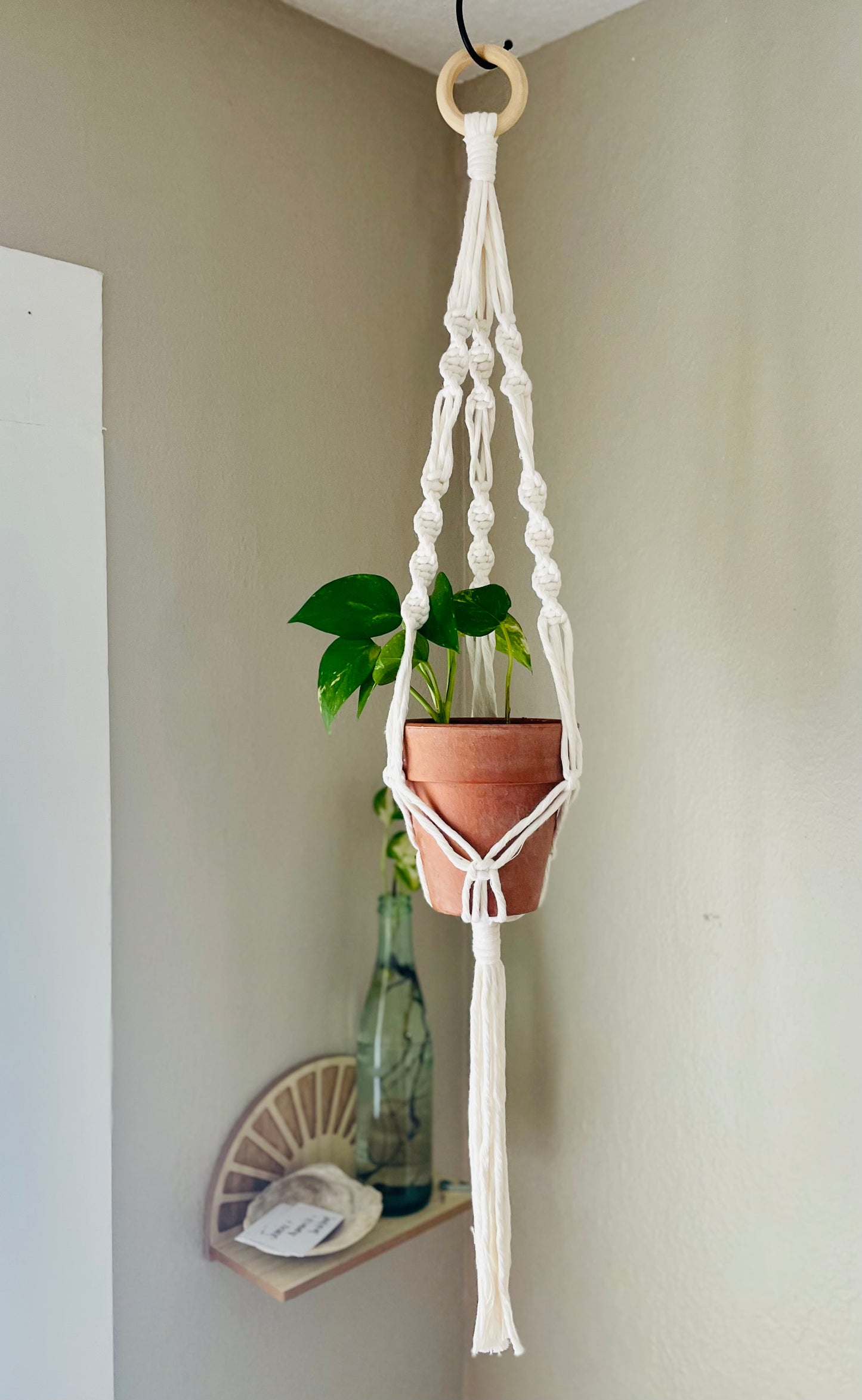 D.I.Y Plant Hanger