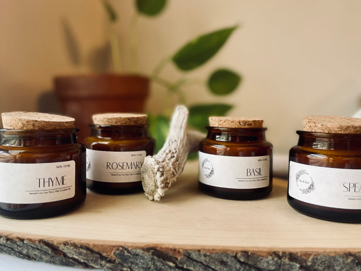 The Herb Collection🌿