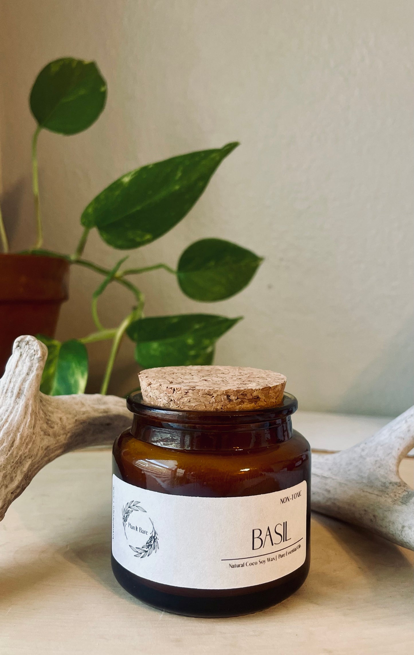 BASIL: The Herb Collection