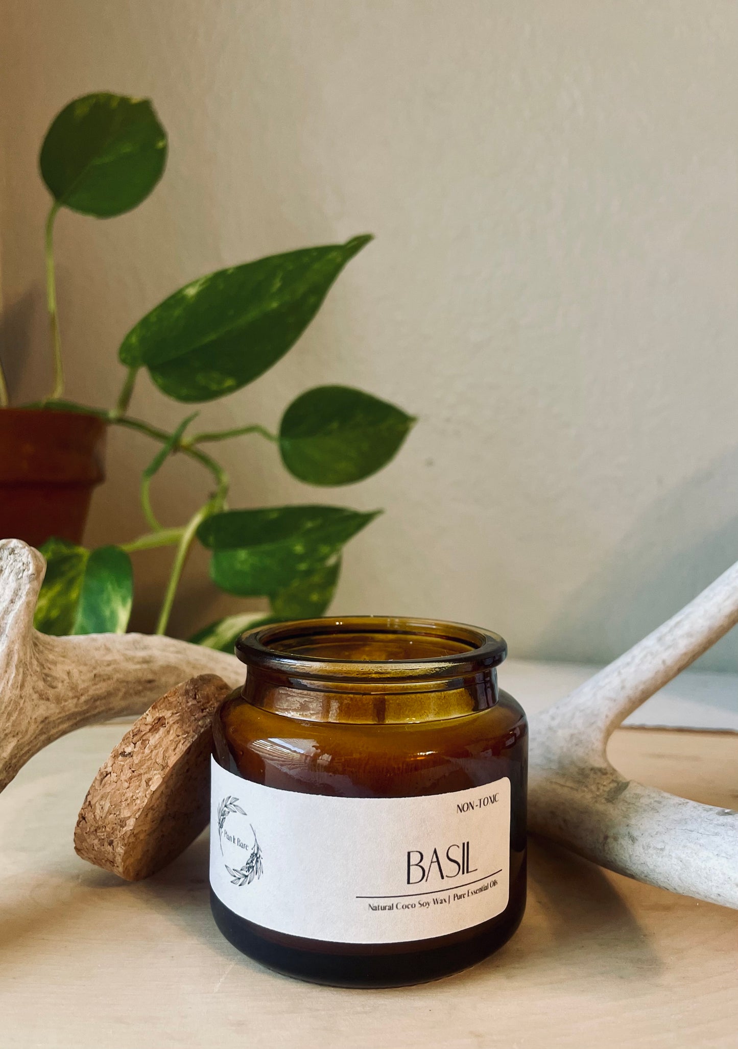 BASIL: The Herb Collection