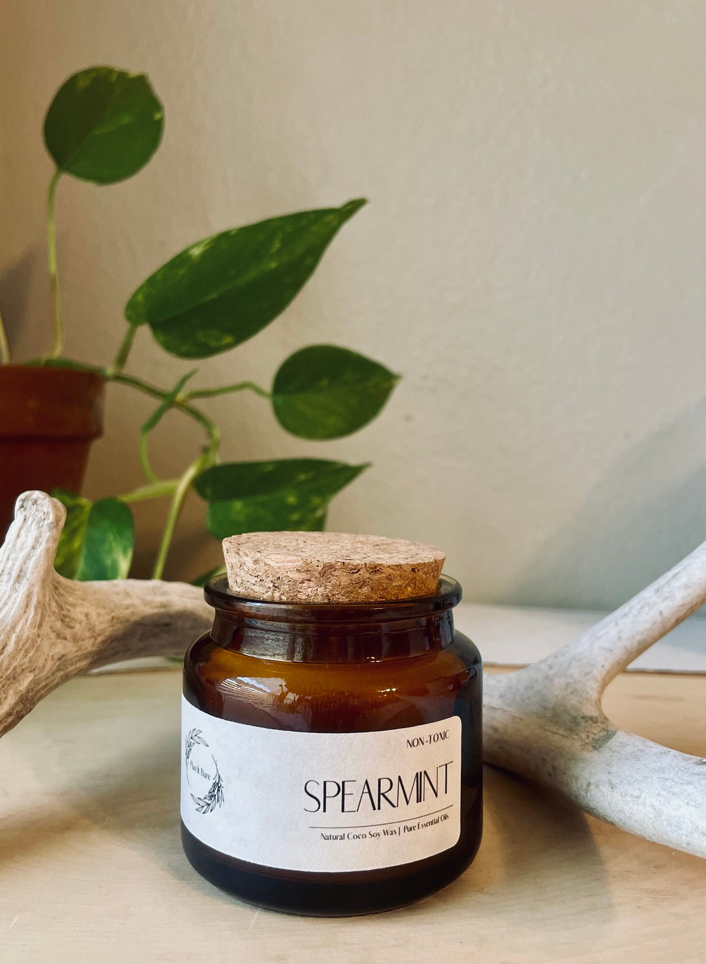 SPEARMINT: The Herb Collection
