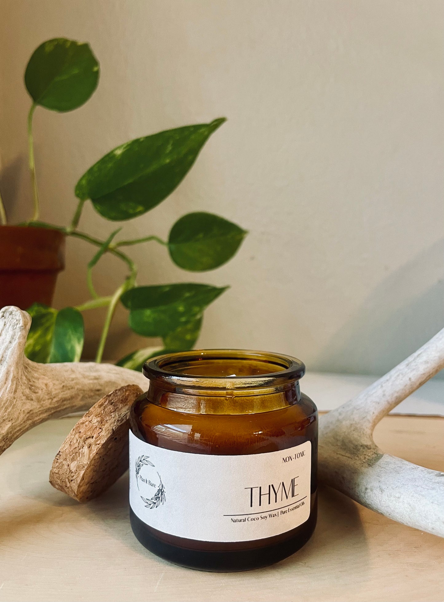 THYME: The Herb Collection