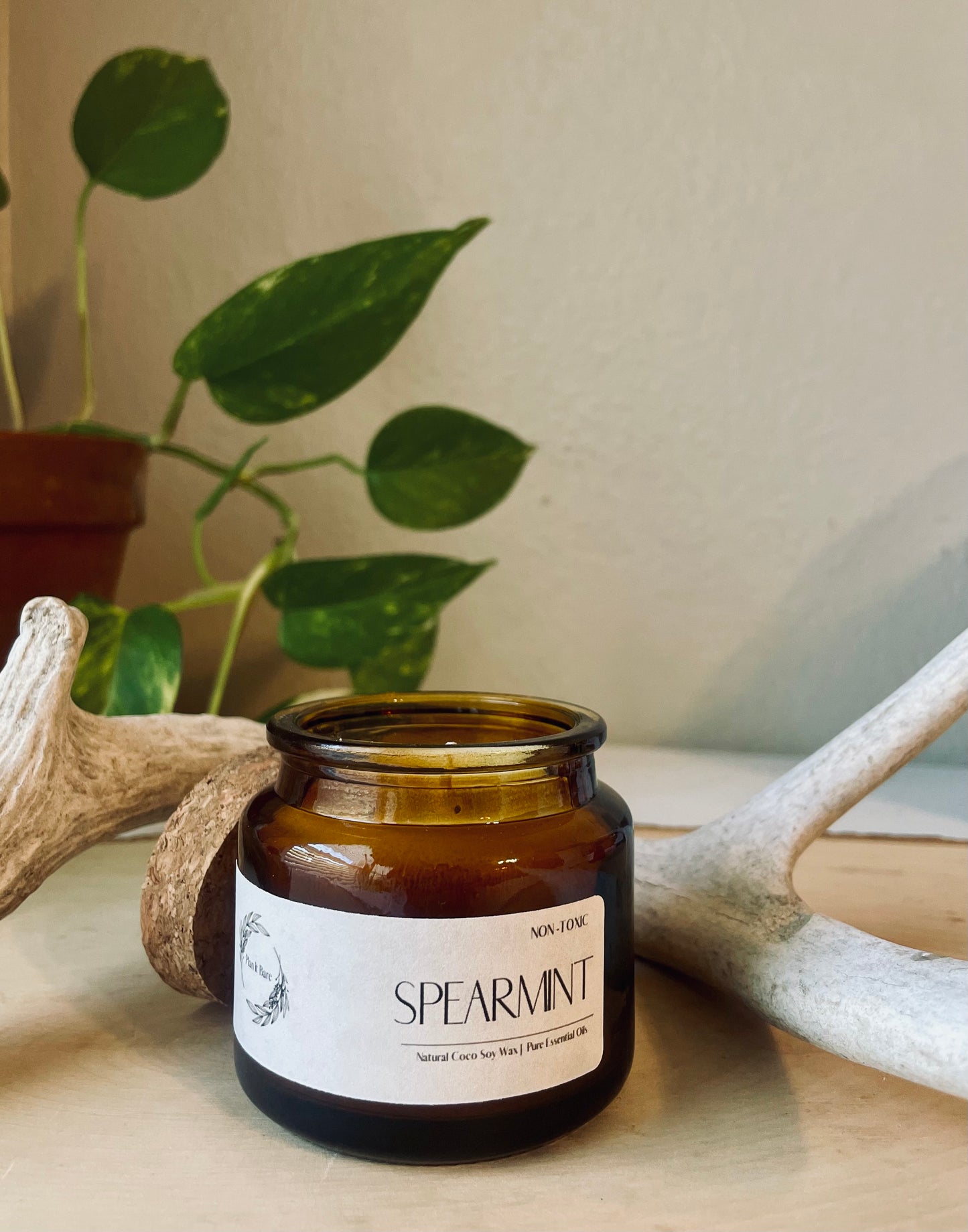SPEARMINT: The Herb Collection