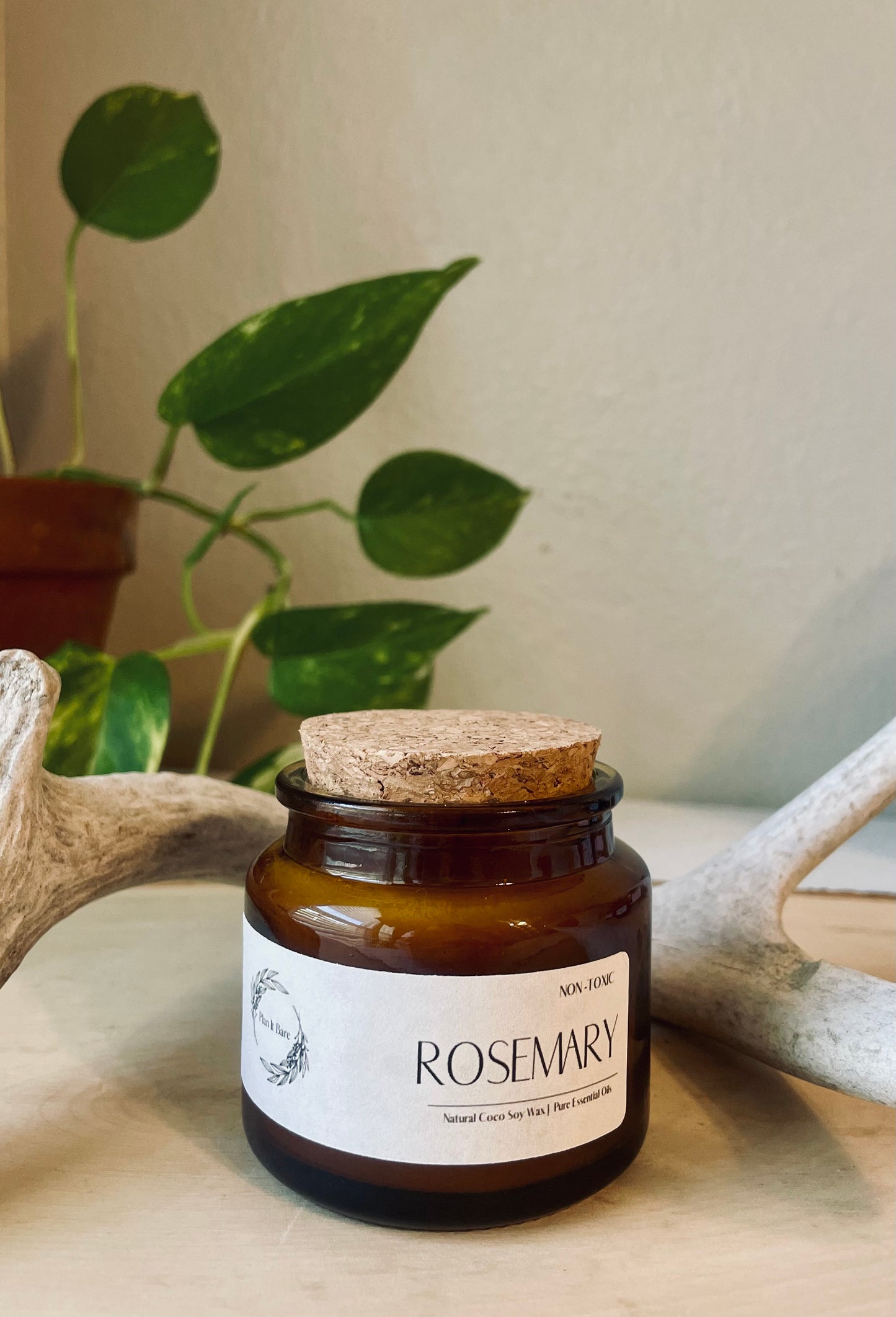 ROSEMARY: The Herb Collection